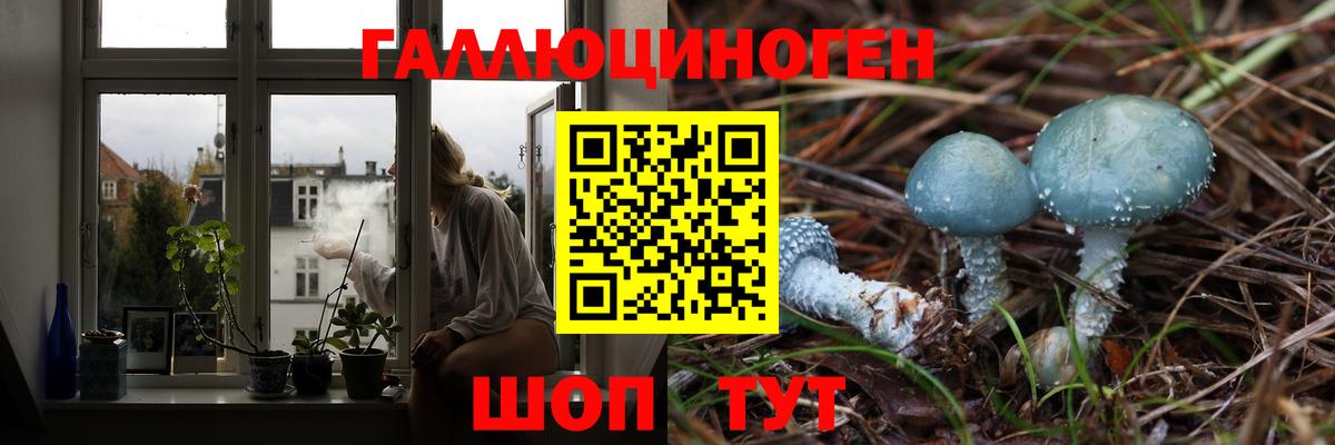 Псилоцибиновые грибы Cubensis Туапсе